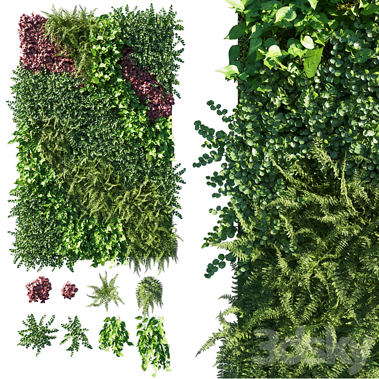 VERTICAL GARDEN GREEN WALL 09 