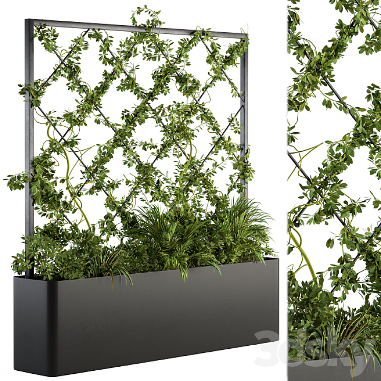 VERTICAL GARDEN OUTDOOR GREEN WALL 39 
