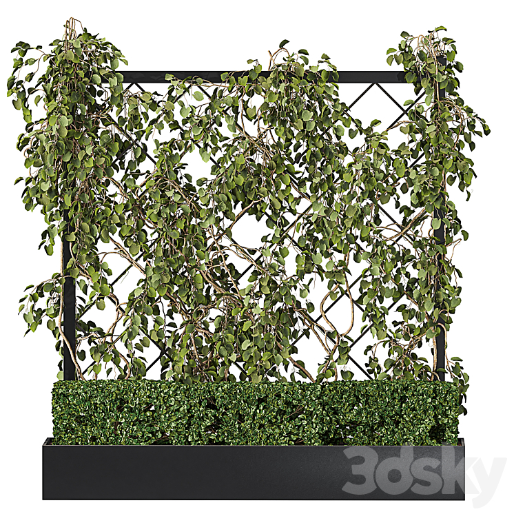 VERTICAL GARDEN PLANTER WITH TRELLIS 