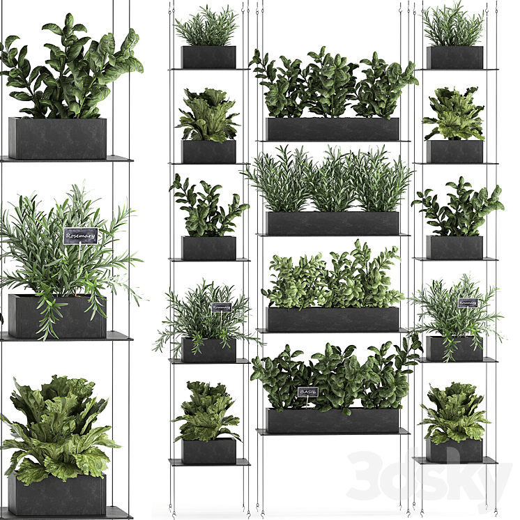 VERTICAL_GARDENING_HOME_GARDEN_KITCHEN_GARDEN_SHELF_SUSPENSION_WITH 