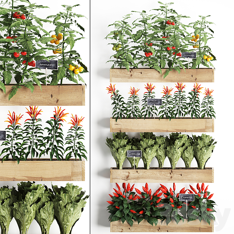 VERTICAL_GARDENING_IN_WOODEN_WALL_BOXES_POTS_WITH_KITCHEN_GARDEN 