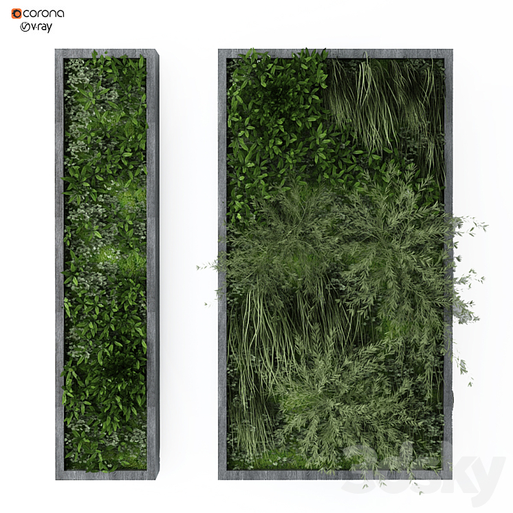 VERTICAL PLANT 162 