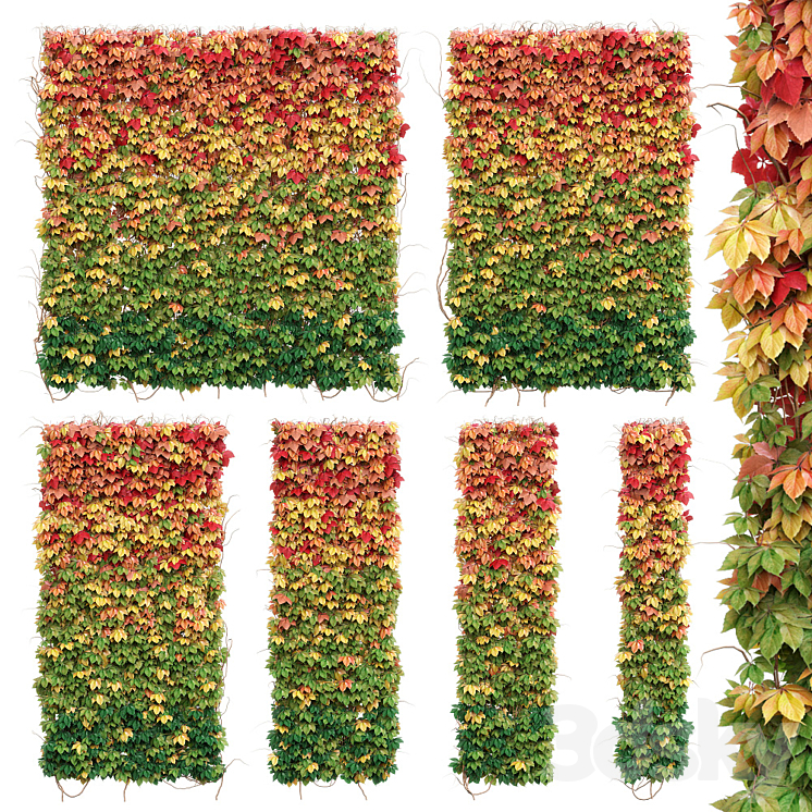 WALL FROM AUTUMN LEAVES SET OF 6 MODELS 