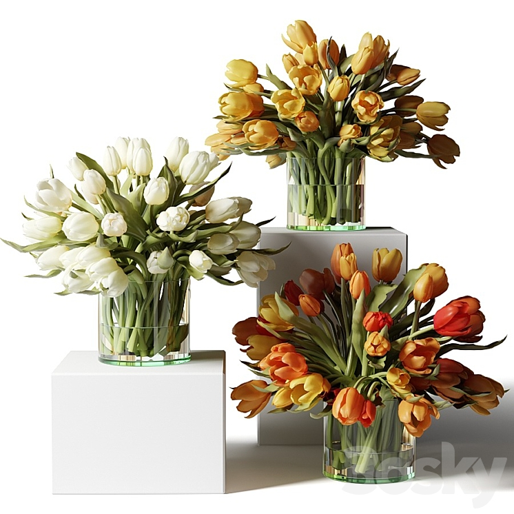 YELLOW RED AND WHITE TULIPS IN GLASS VASES 