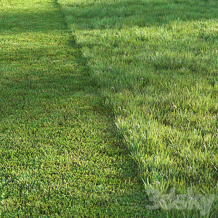 SPORTS TURF 