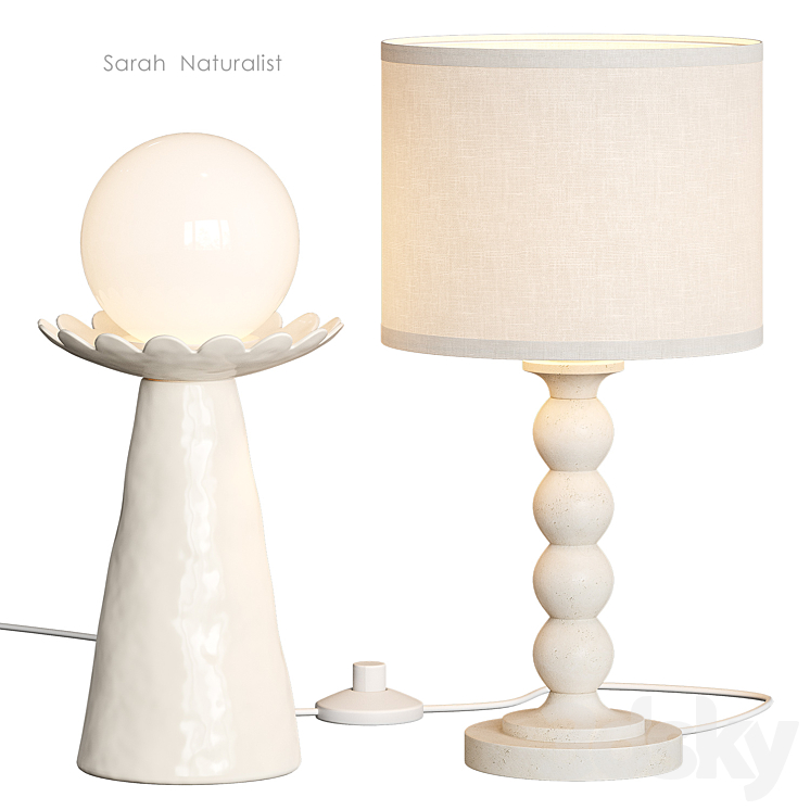 NATURALIST SARAH WEST ELM TABLE LAMP 
