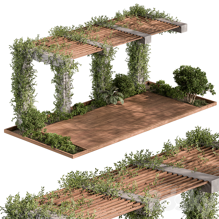 PERGOLA AND PLANT SET 81 