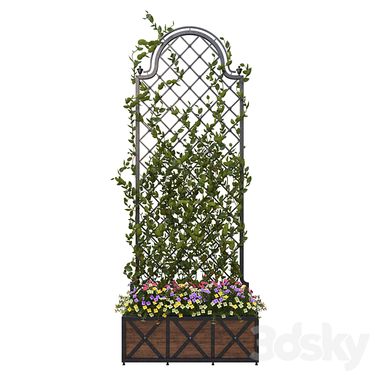 PERGOLA WITH FLOWERS 