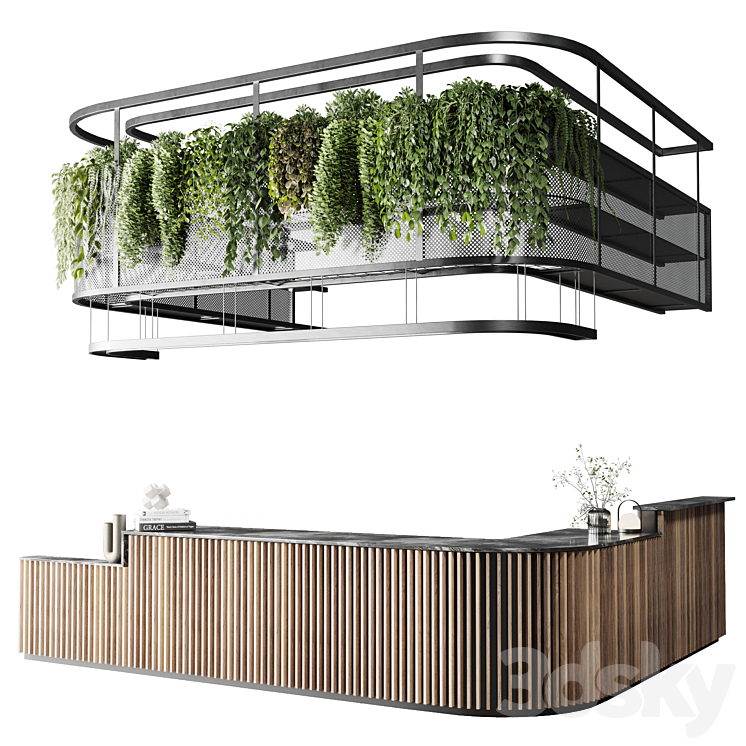 COFFEE SHOP RECEPTION RESTAURANT COUNTER HANGING PLANT 03 