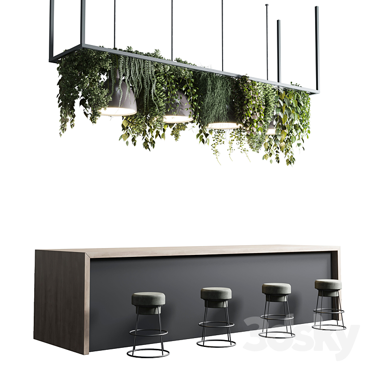 COFFEE SHOP RECEPTION RESTAURANT COUNTER HANGING PLANT 04 