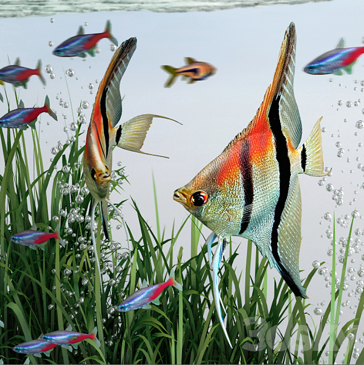 BIORB 15L FLOW AQUARIUM 