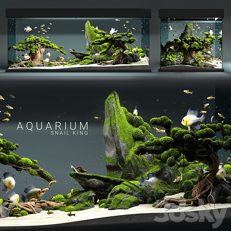 AQUARIUM SNAIL KING 