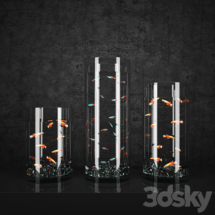 AQUARIUM 
