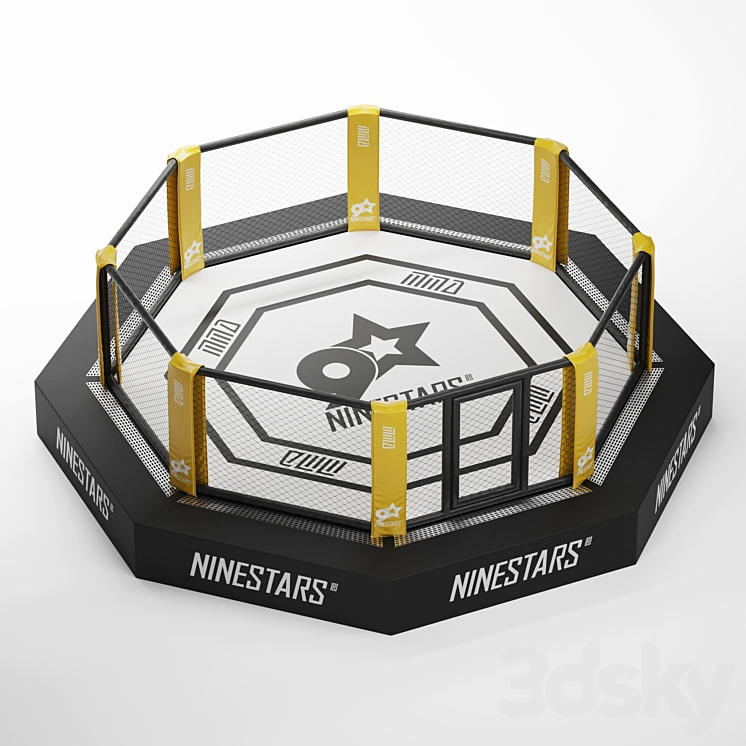 MMA ARENA OCTAGON 