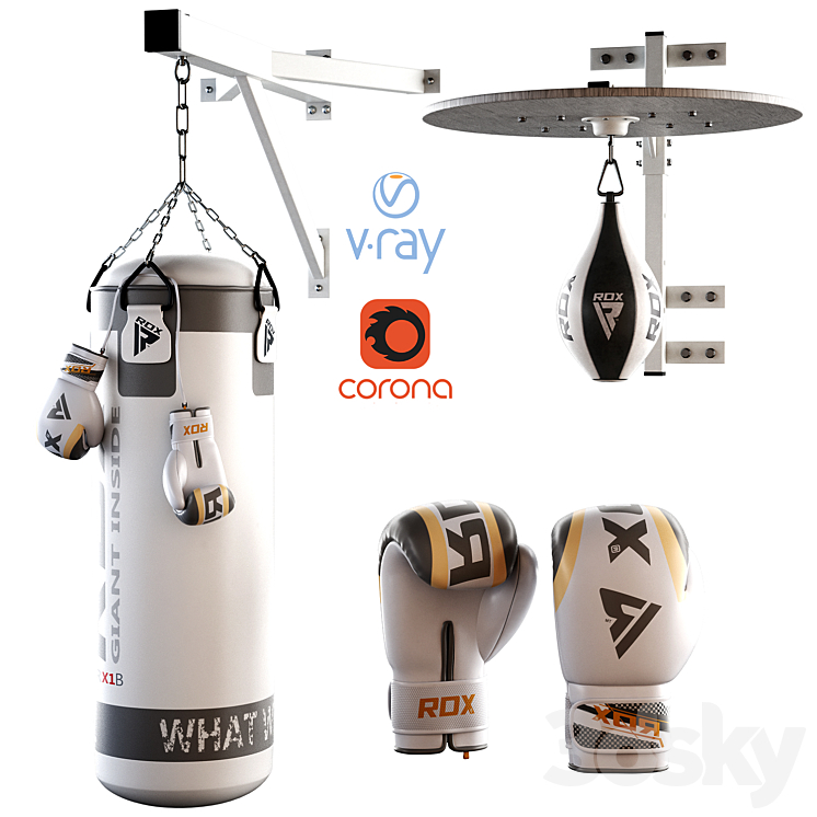 SET PUNCHING BAG AND GLOVES FROM ROX 2 