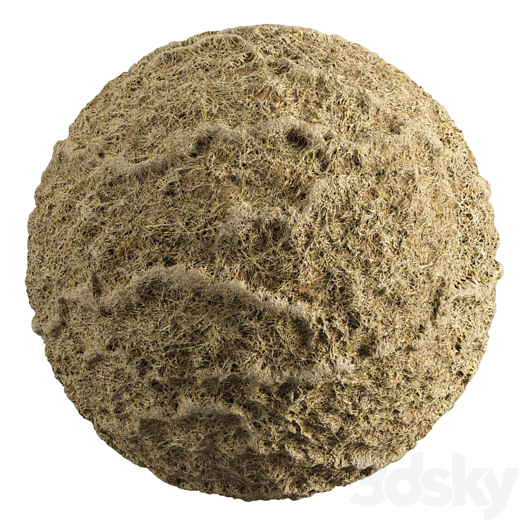 GRASS 008 