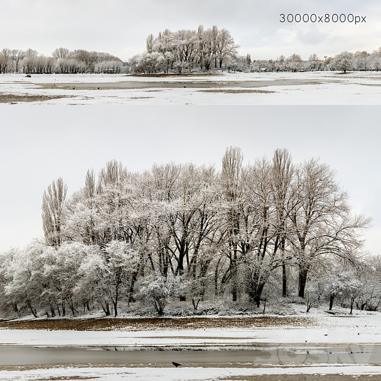 PANORAMA OF THE PARK WITH A LAKE AND SNOW COVERED TREES 30K 