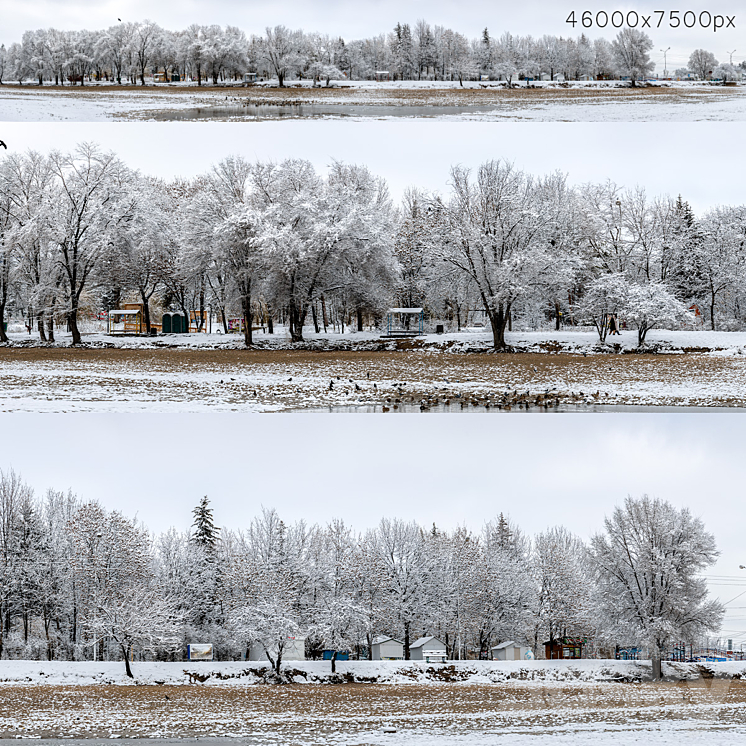 PANORAMA OF THE PARK WITH A LAKE AND SNOW COVERED TREES 46K 