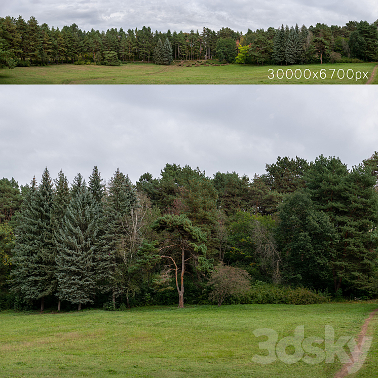 AUTUMN PANORAMA WITH TREES 30K 
