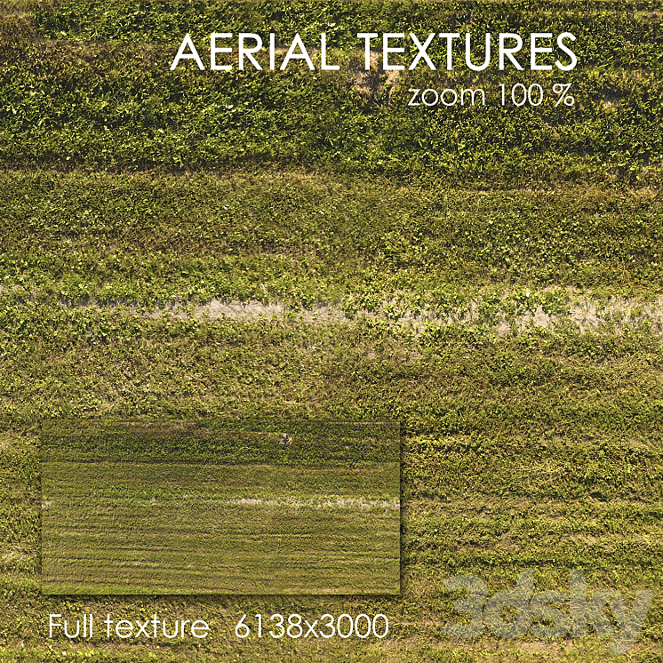 FIELD WITH GRASS 51 
