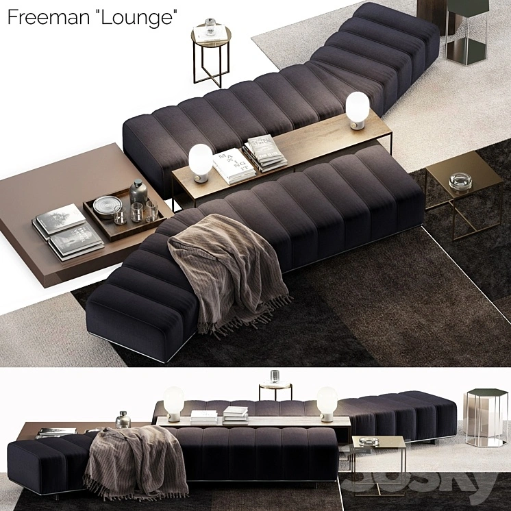 Minotti Freeman Lounge 