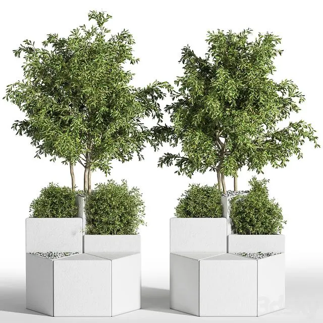 Outdoor Chair of The Shrub 