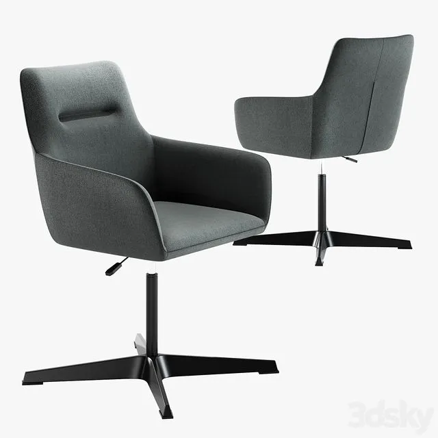 Signal kubo, chair 
