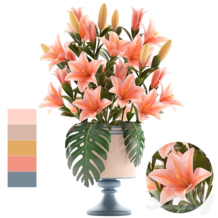 Collection of flowers 57. Bouquet of Lilies, flower, vase, decor 