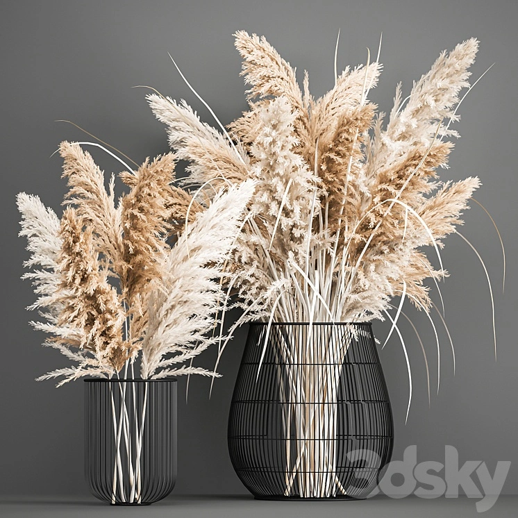 A lush bouquet of dried flowers in a basket with pampas, Pampas grass, Cortaderia, a branch. 192. 