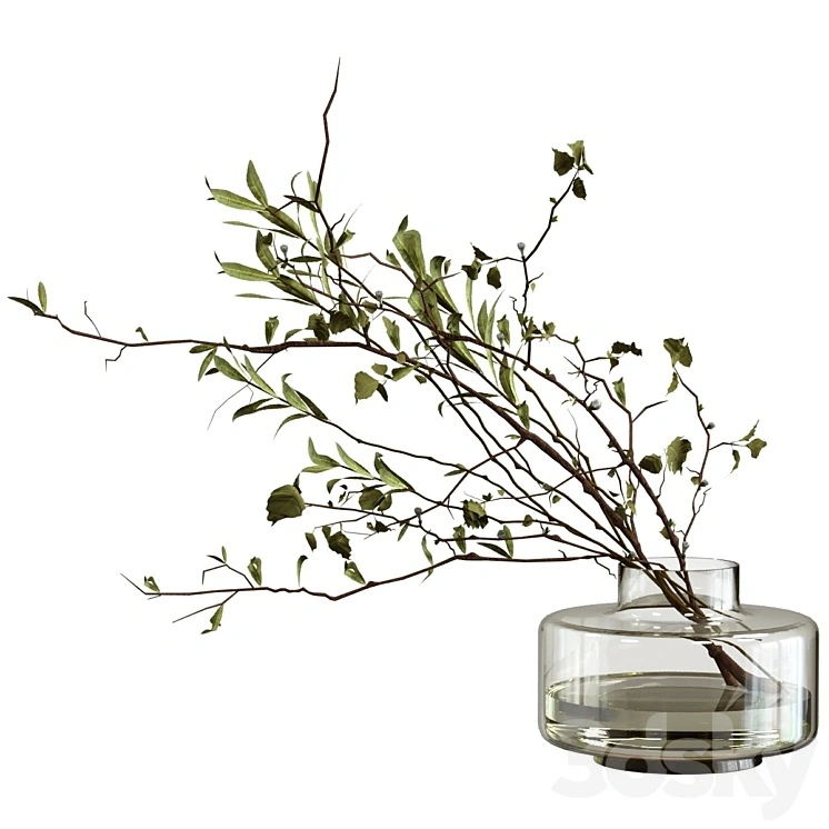 Bouquet of olive branches and wood 