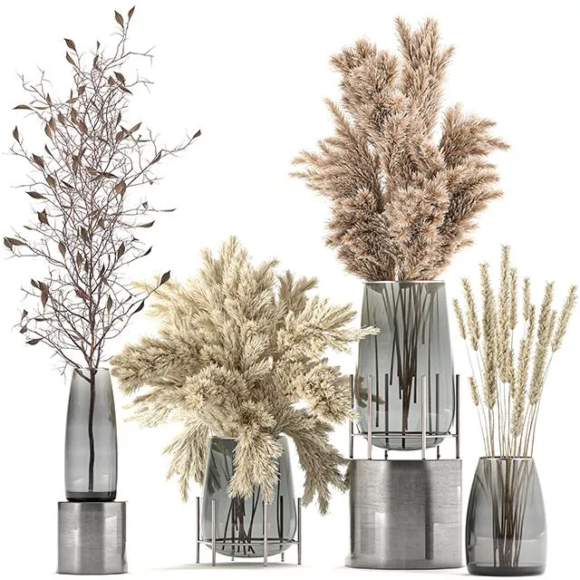 A_collection_of_bouquets_of_dried_flowers_in_glass_vases_Set_103 