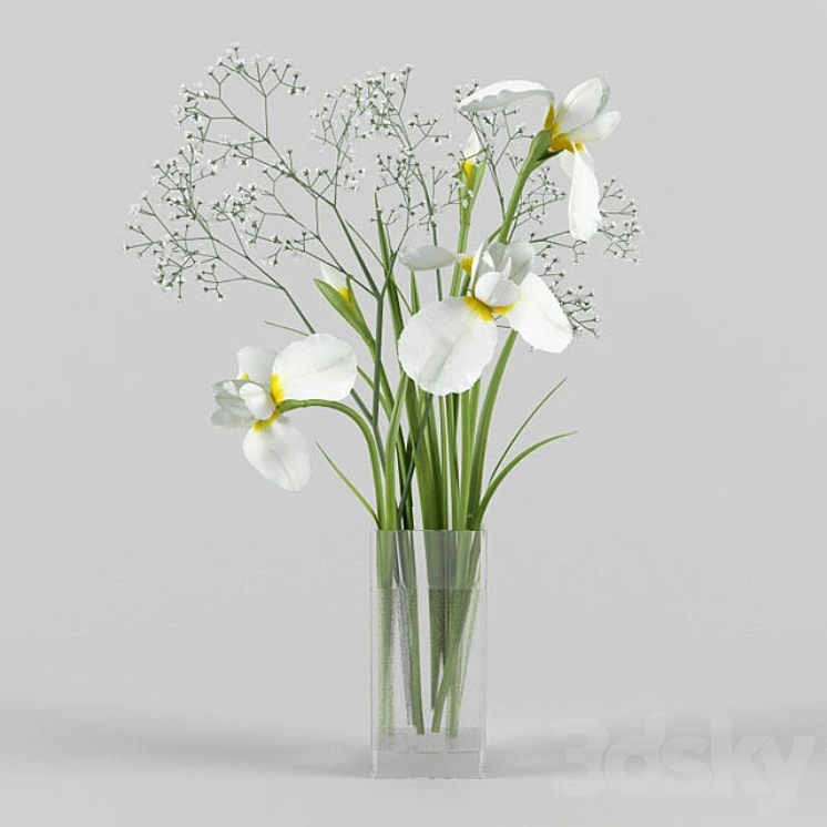 Irises and gypsophila 