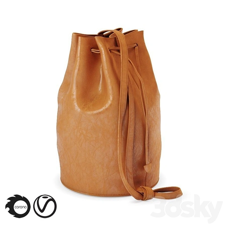 Bag Leather 