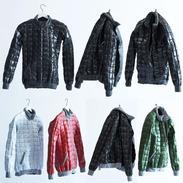 The jacket, down jacket 