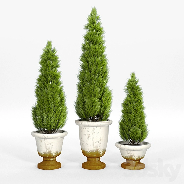 Tuscan planters 