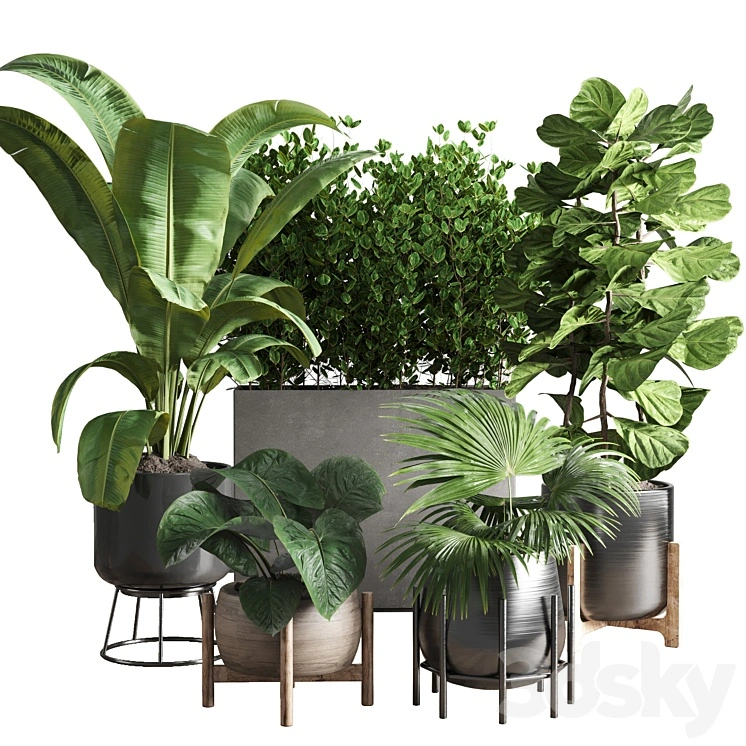 collection Indoor plant 43 vase 