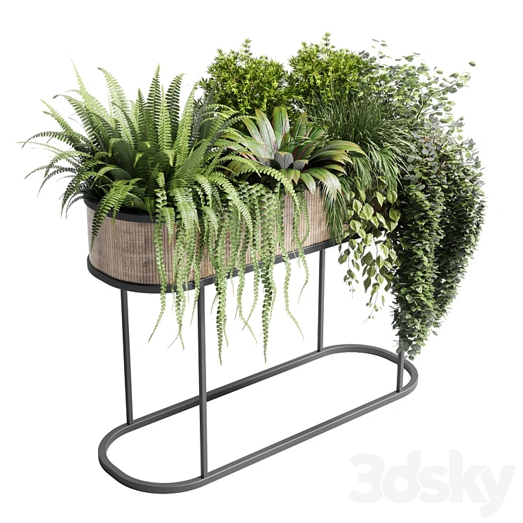 collection Indoor plant 116 stand pot bax wood vase pot fern tree grass 