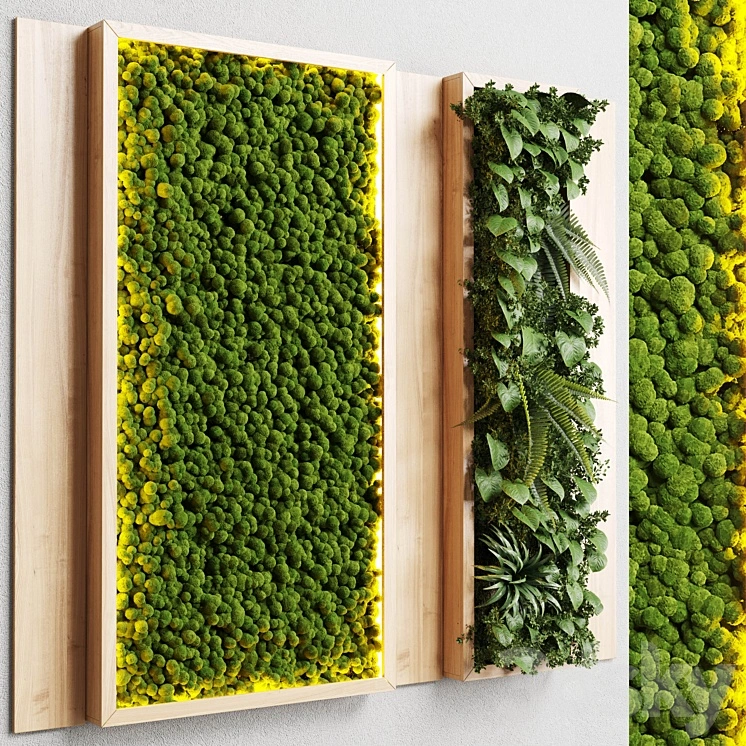 wall garden and vertical moss in wooden frame 22 