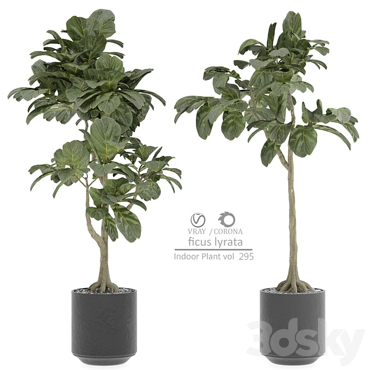 indoor Plant 295 