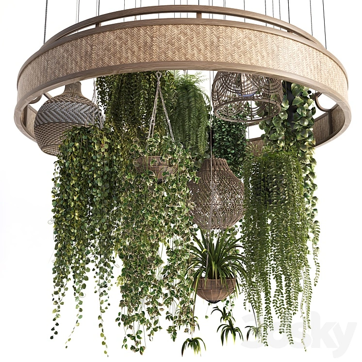 Plants with Wicker Pendants 