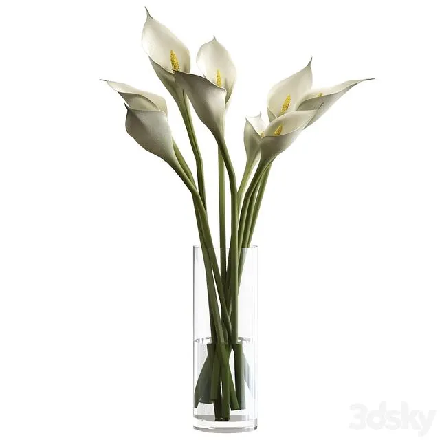 Bouquet of calla lilies in a vase 