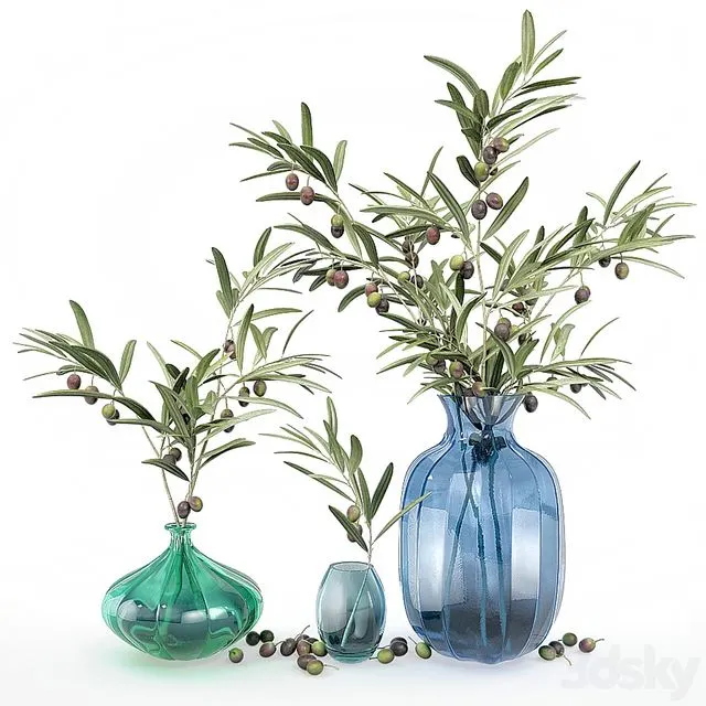 Bouquet of olive branches 