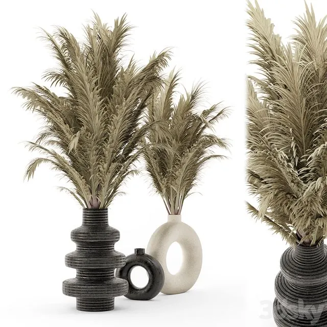 Collection Dry Bouquet Plants Pots - Set 1876 