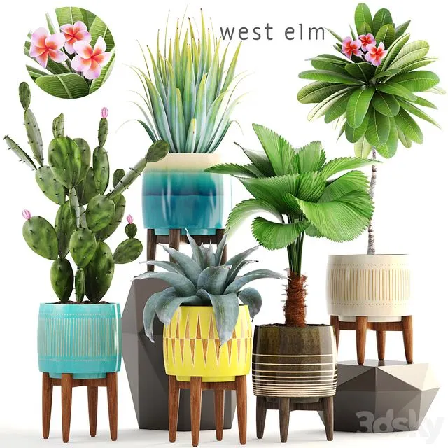 Collection of plants 179 