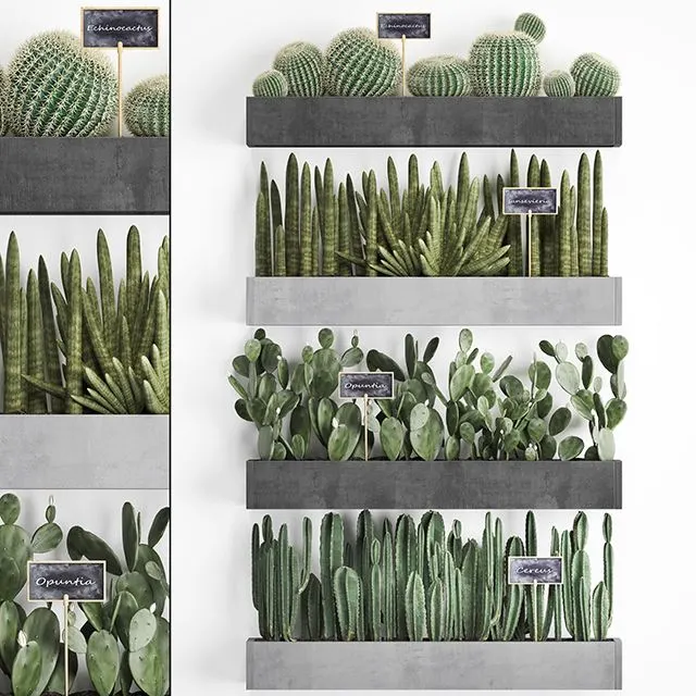 Collection_of_plants_vertical_gardening_in_wooden_wall_mounted_black 
