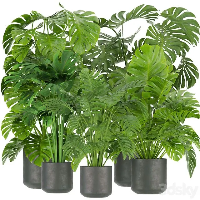 Collection plant vol 334 