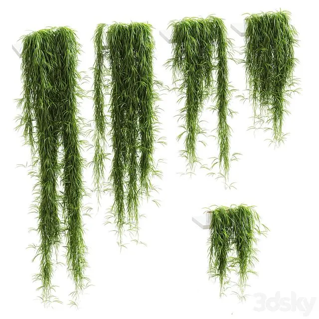 Hanging plants for shelves. 5 models. set 1 