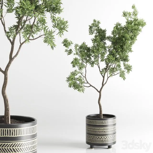 Indoor plant 56 vase handmade pottery plant tree pot 