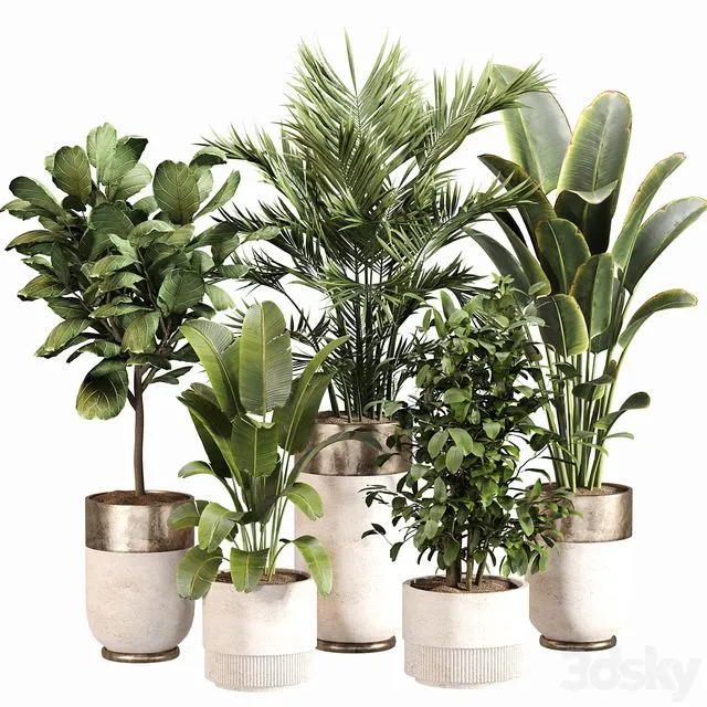 Indoor Plant Set 052 