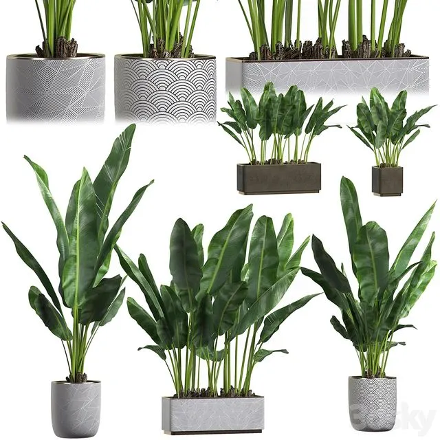 INTERIOR FLOWER PACK 1 